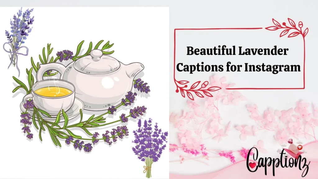 Beautiful Lavender Captions