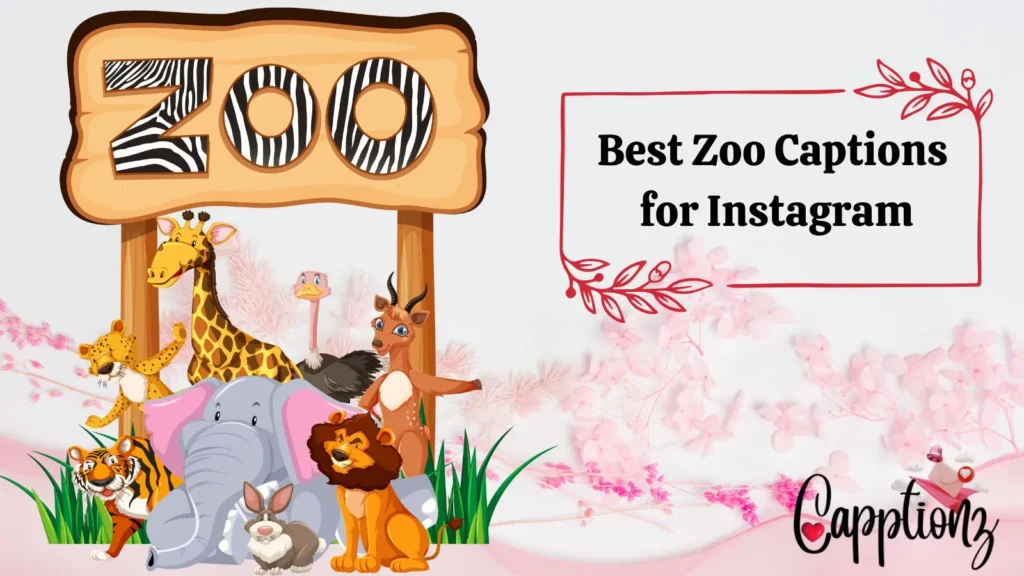 Best Zoo Captions