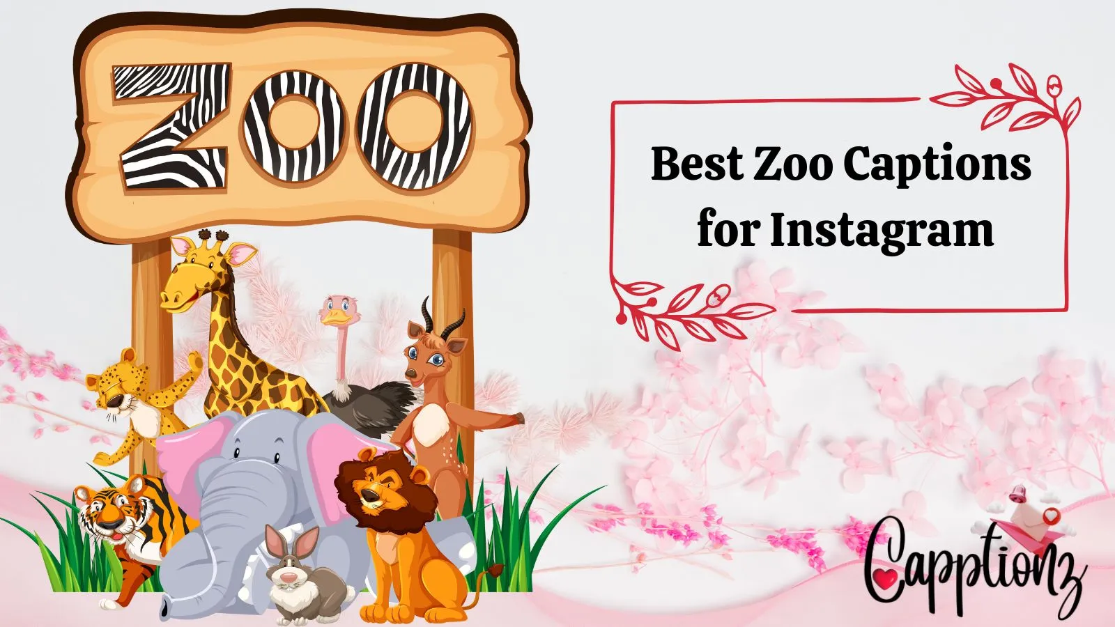 Best Zoo Captions