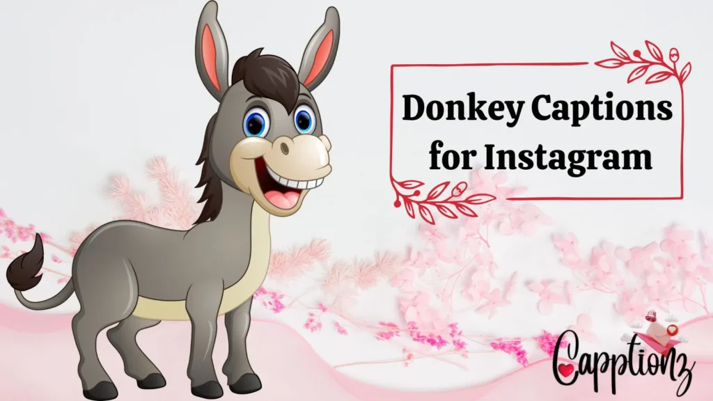 Donkey Captions
