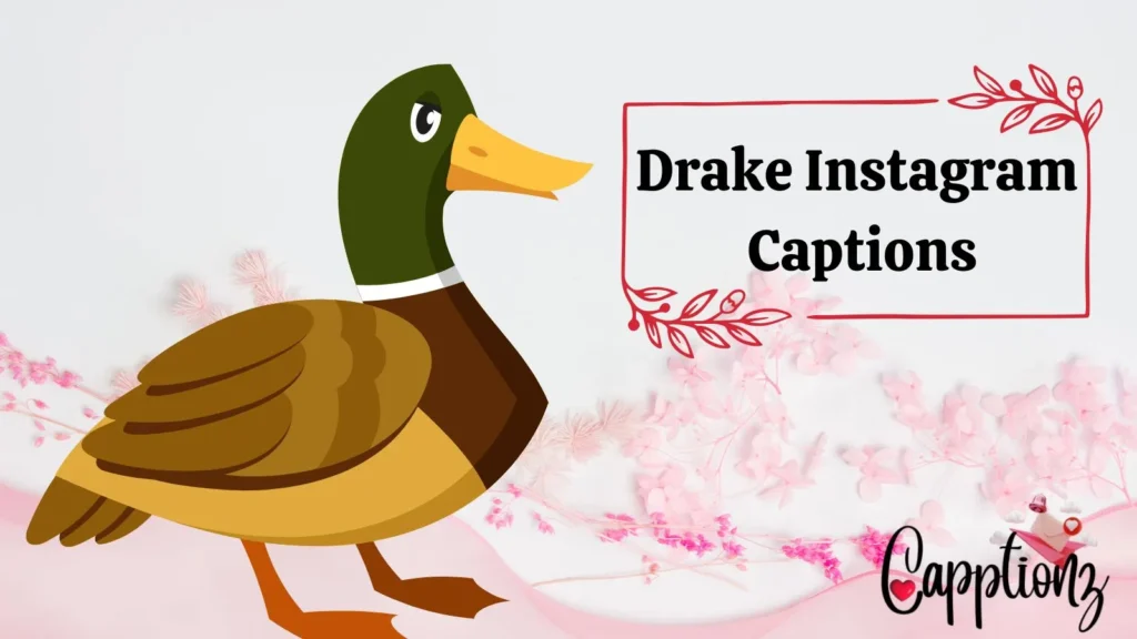 Drake Instagram Captions