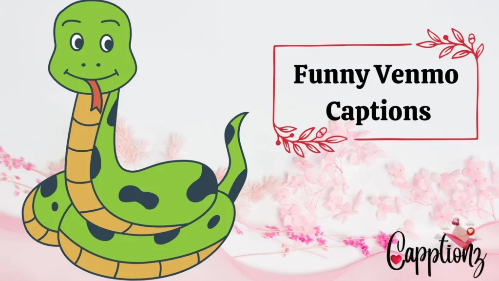 Funny Venmo Captions
