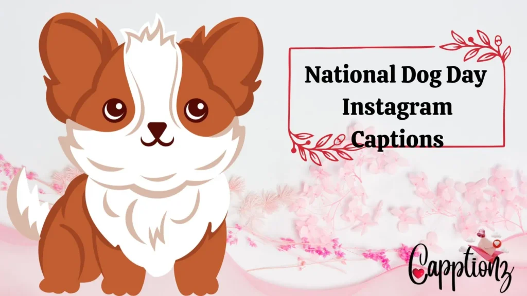 National Dog Day Instagram Captions